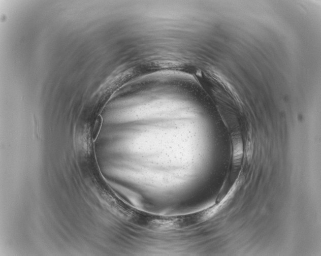 X0000087050170200704251013