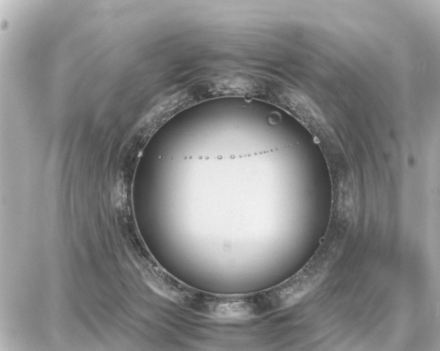 X0000087050173200704251013