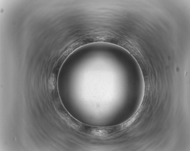 X0000087050174200704251013