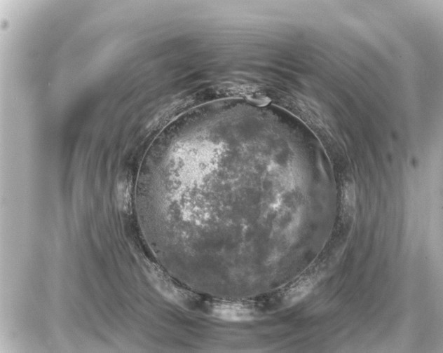 X0000087050177200704251013