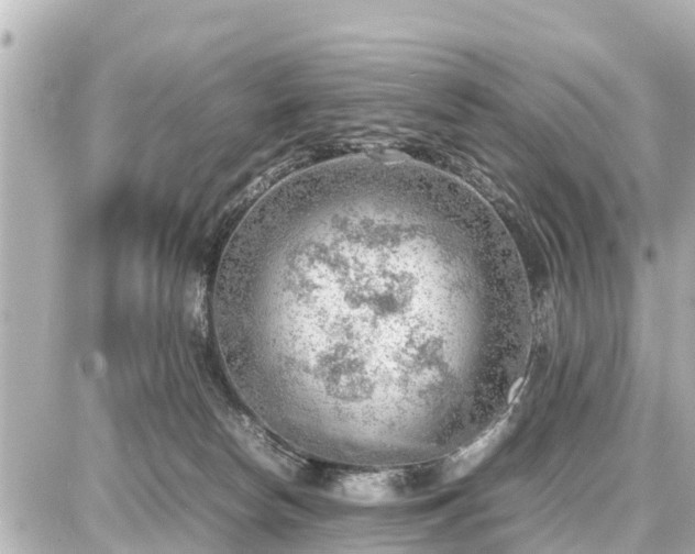 X0000087050178200704251013