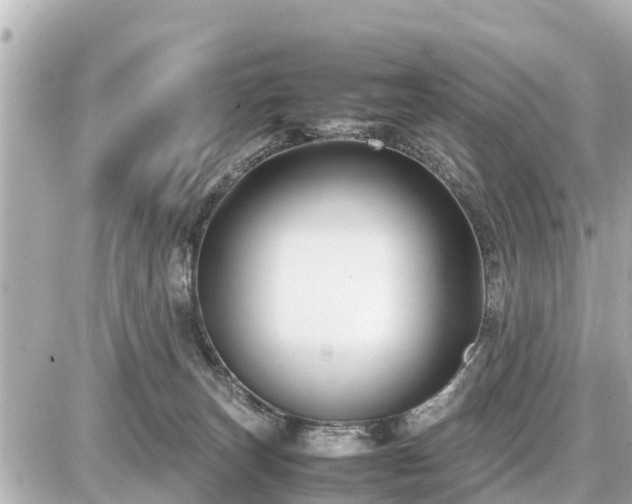 X0000087050179200704251013