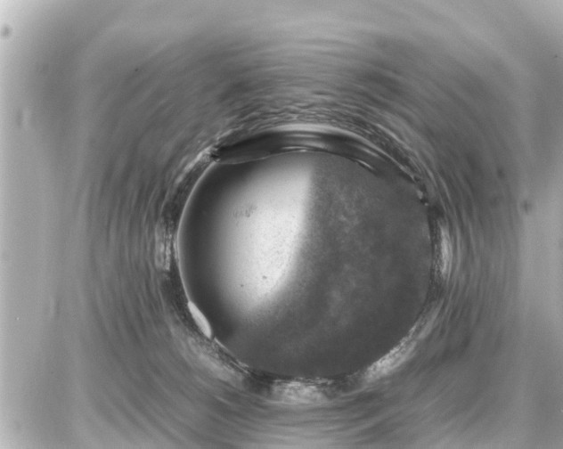 X0000087050180200704251013