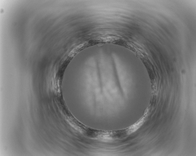 X0000087050182200704251013