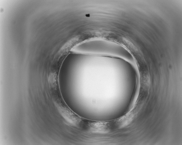 X0000087050184200704251013