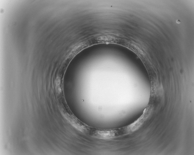 X0000087050187200704251013