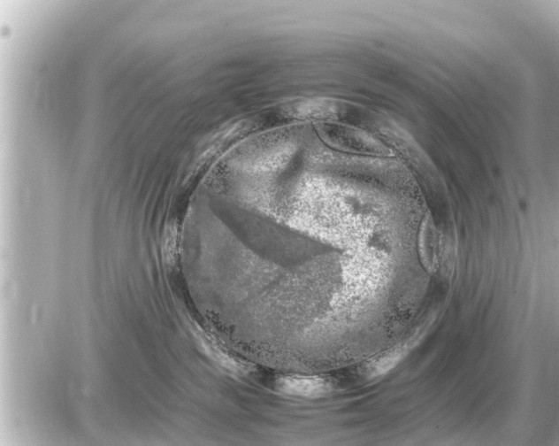 X0000087050189200704251013