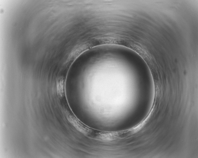 X0000087050190200704251013