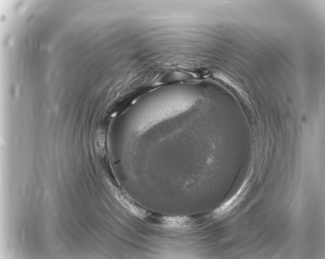 X0000087050192200704251013