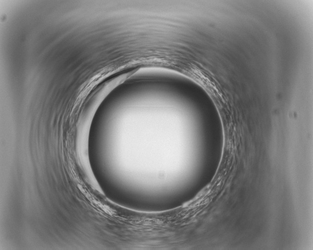 X0000087050193200704251012