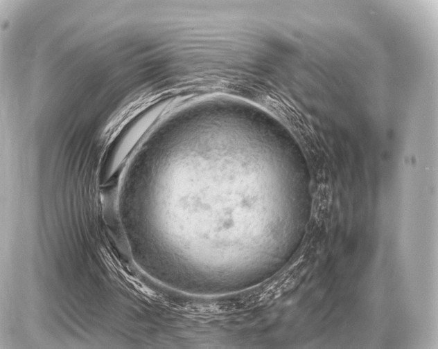 X0000087050194200704251012