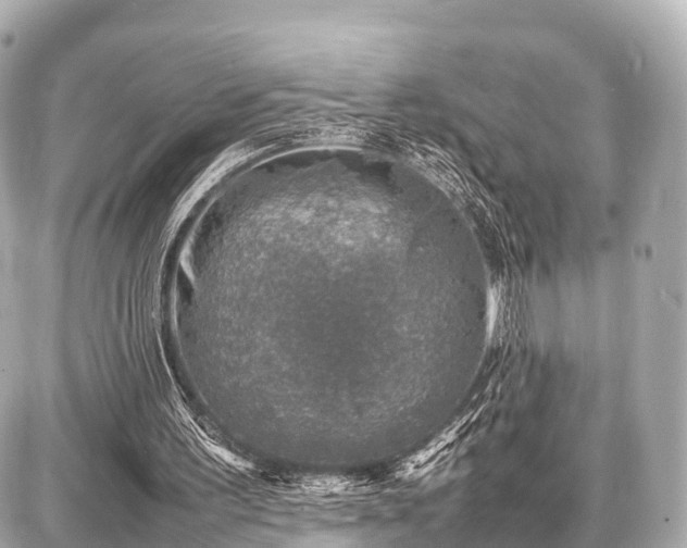 X0000087050195200704251012