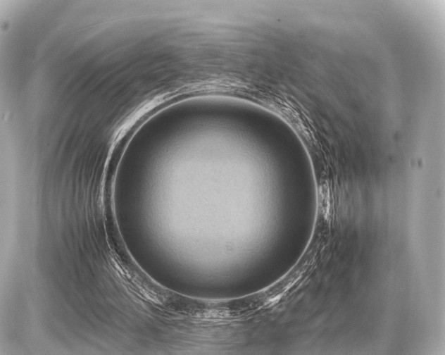 X0000087050196200704251012