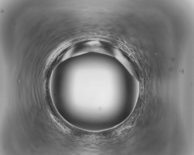 X0000087050197200704251012