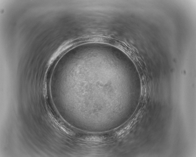 X0000087050198200704251012