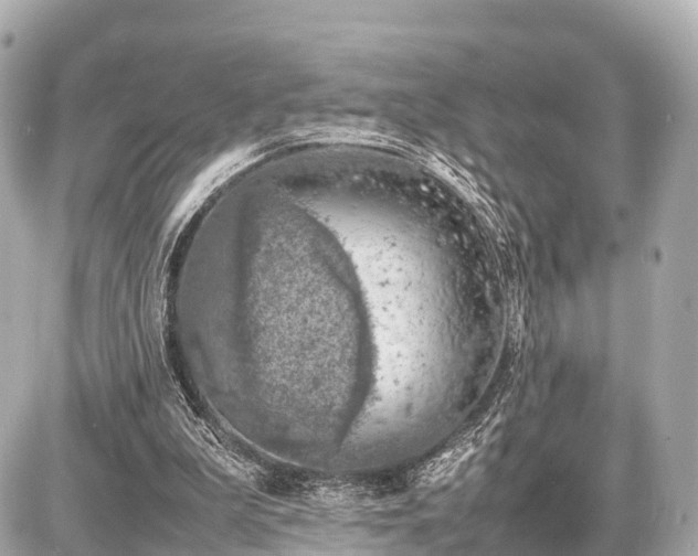 X0000087050199200704251012