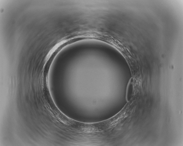 X0000087050200200704251012