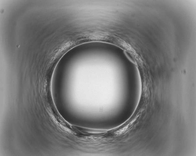 X0000087050201200704251012