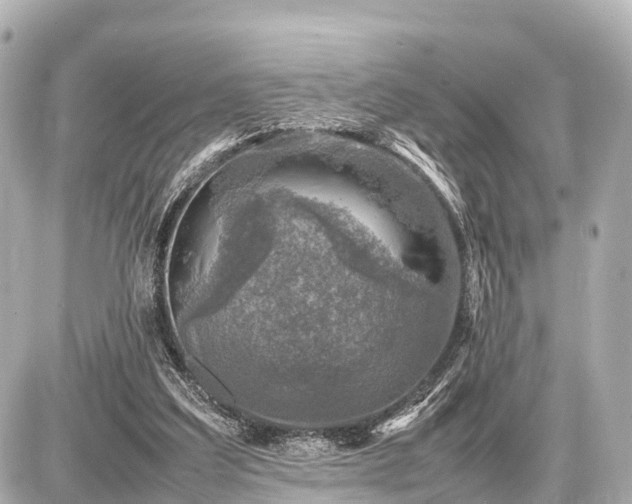 X0000087050203200704251012