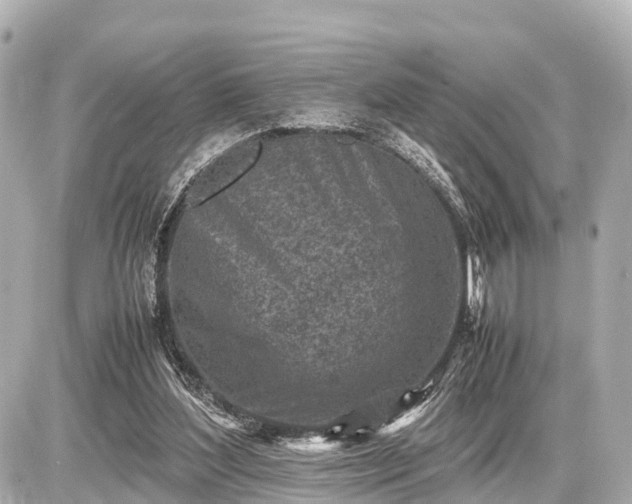 X0000087050204200704251012