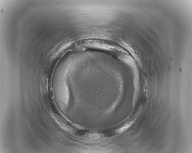 X0000087050205200704251012