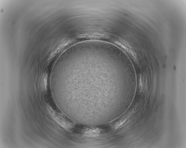 X0000087050206200704251012