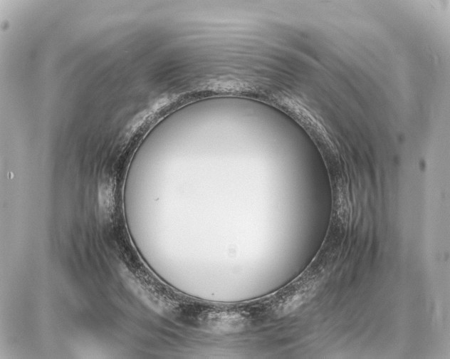 X0000087050208200704251012