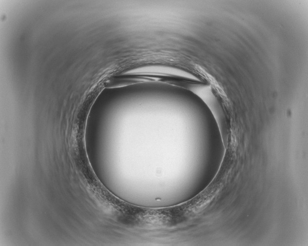 X0000087050209200704251012