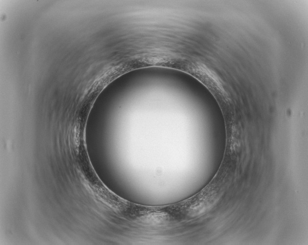 X0000087050210200704251012