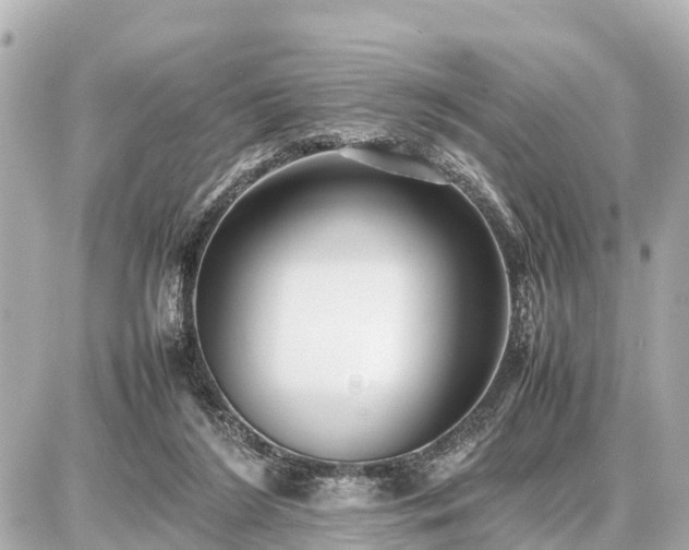 X0000087050212200704251012