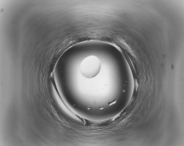 X0000087050213200704251012