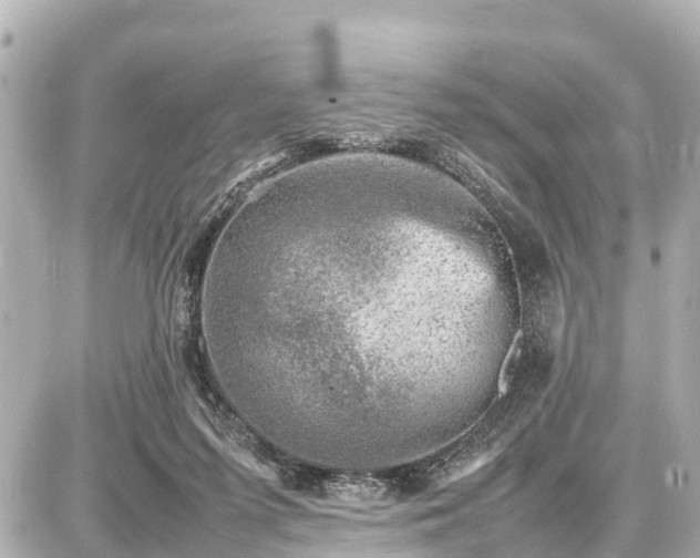 X0000087050215200704251012