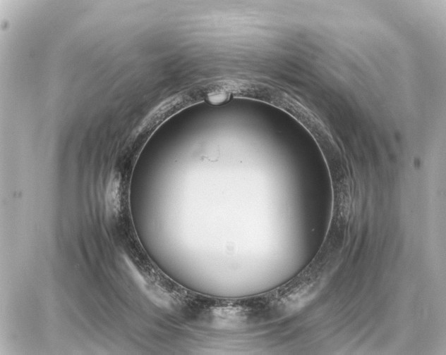 X0000087050216200704251012