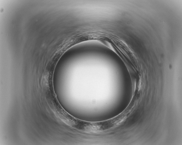 X0000087050217200704251012