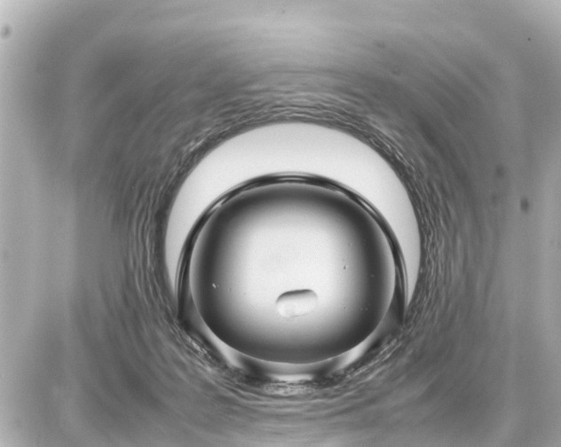 X0000087050219200704251012