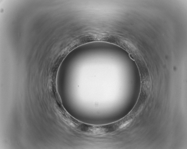 X0000087050221200704251012