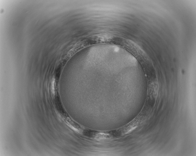 X0000087050222200704251012