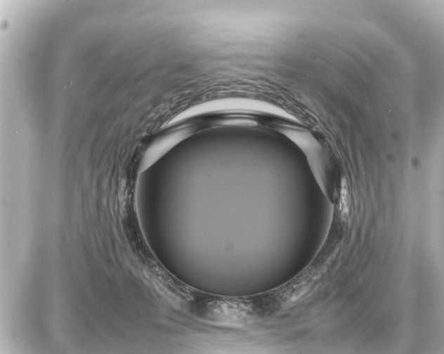 X0000087050223200704251012