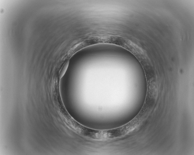 X0000087050225200704251012