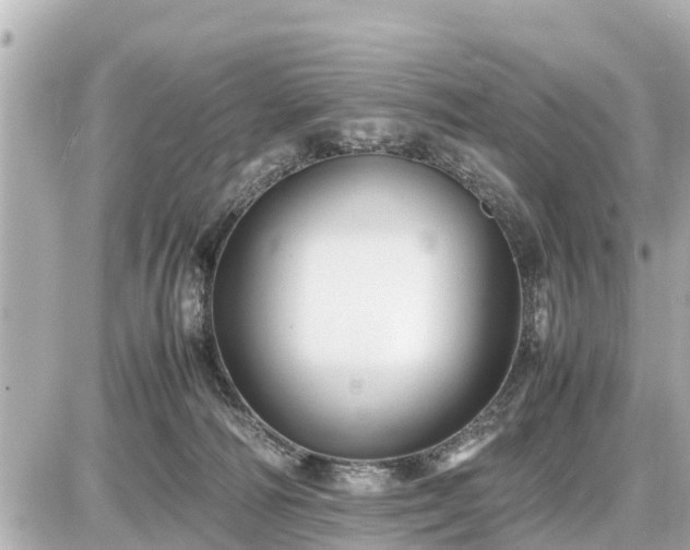 X0000087050226200704251012