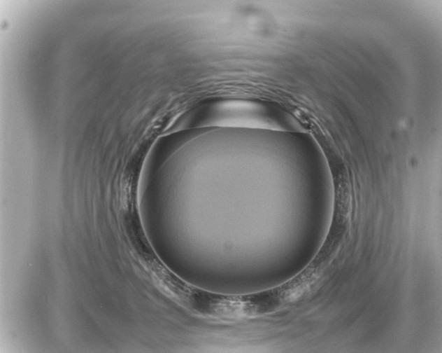 X0000087050227200704251012