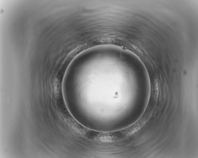 X0000087050228200704251012