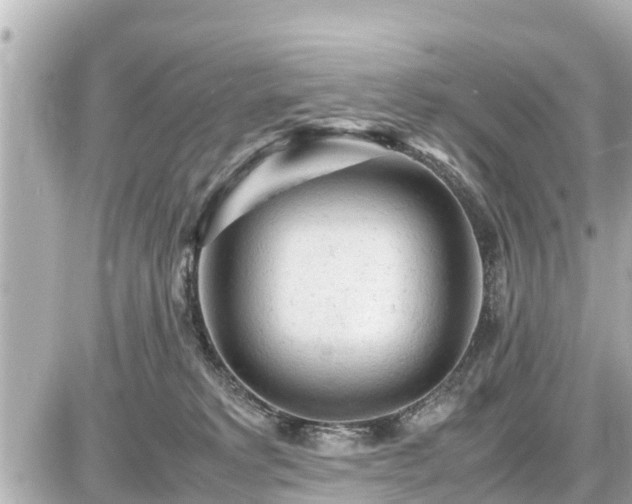 X0000087050229200704251012