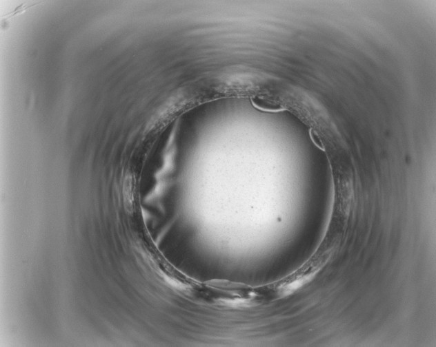 X0000087050232200704251012