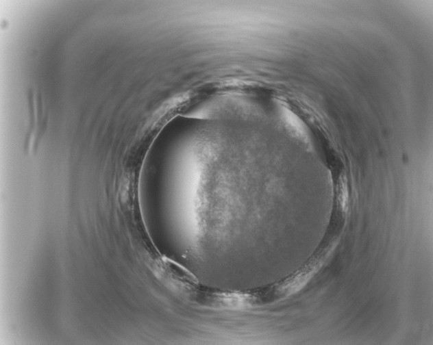 X0000087050233200704251012