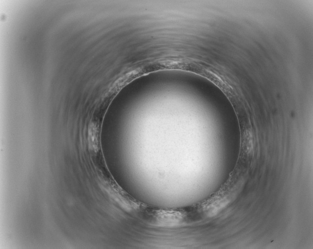 X0000087050234200704251012