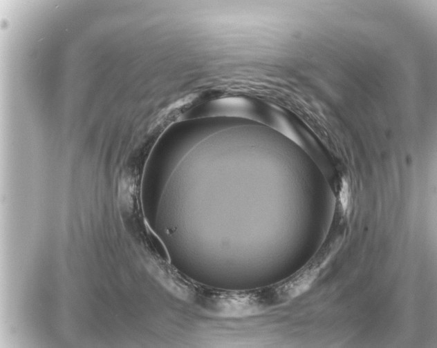 X0000087050235200704251012