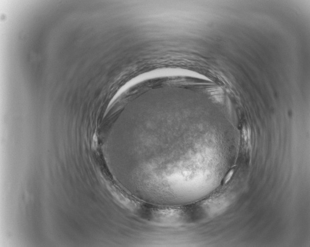 X0000087050237200704251012