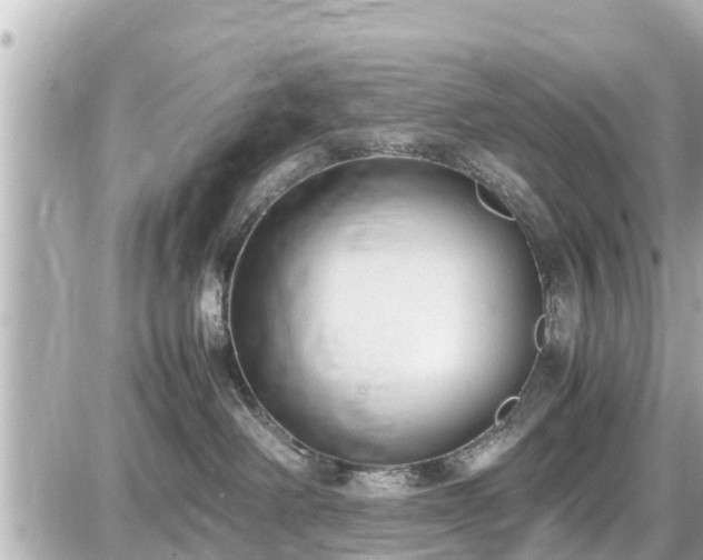 X0000087050238200704251012