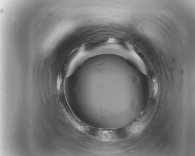 X0000087050239200704251012